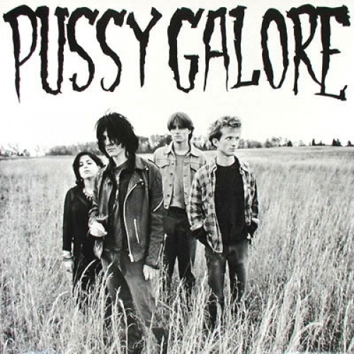 Teen Pussy Power (track) by Pussy Galore : Best Ever Albums